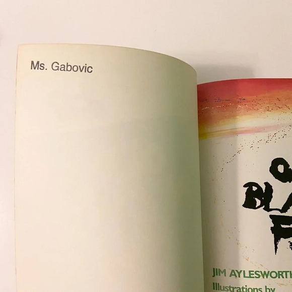 Vintage 1995  Old Black Fly Jim Aylesworth First Owlet Edition - Picture 3 of 12